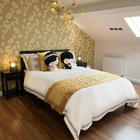 Entire Yellowapt Near Belfast City Centre - Free Parking - Up To 3 Guests - 2 Beds Exteriör bild