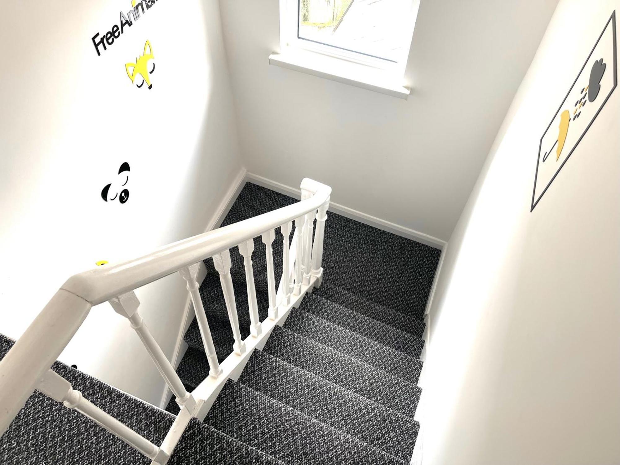 Entire Yellowapt Near Belfast City Centre - Free Parking - Up To 3 Guests - 2 Beds Exteriör bild